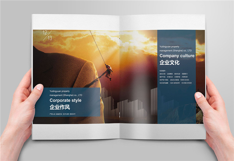 上海畫(huà)冊(cè)設(shè)計(jì)公司,上海畫(huà)冊(cè)設(shè)計(jì)欣賞作品,上海公司宣傳畫(huà)冊(cè)設(shè)計(jì)