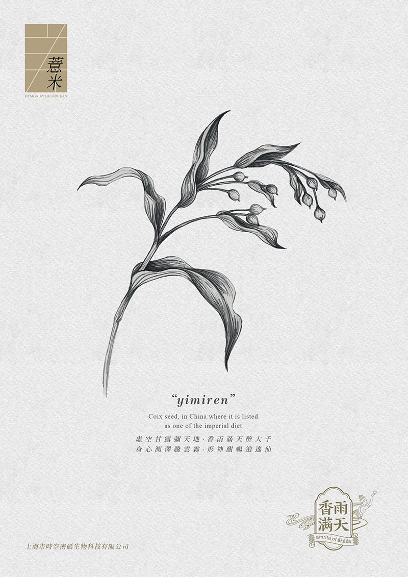 [ 香雨滿天 ] 保健茶平面包裝設(shè)計_茶葉包裝設(shè)計_平面包裝設(shè)計