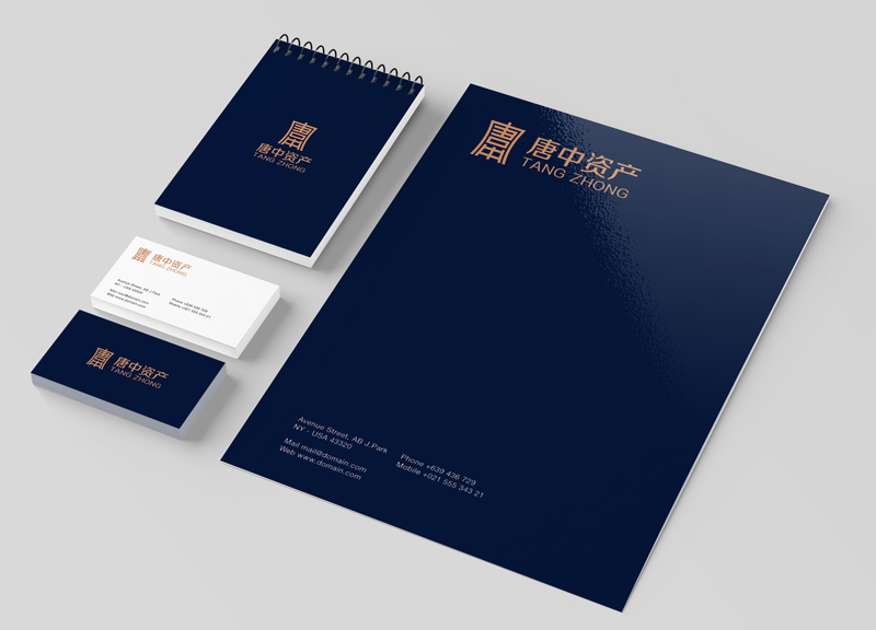 唐中地產(chǎn)logo設計案例_房地產(chǎn)logo設計_房地產(chǎn)標志設計,