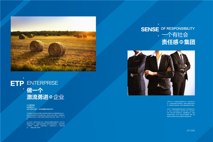 地產(chǎn)畫冊設(shè)計案例,集團(tuán)畫冊設(shè)計案例,豐大國際地產(chǎn)集團(tuán)畫冊設(shè)計